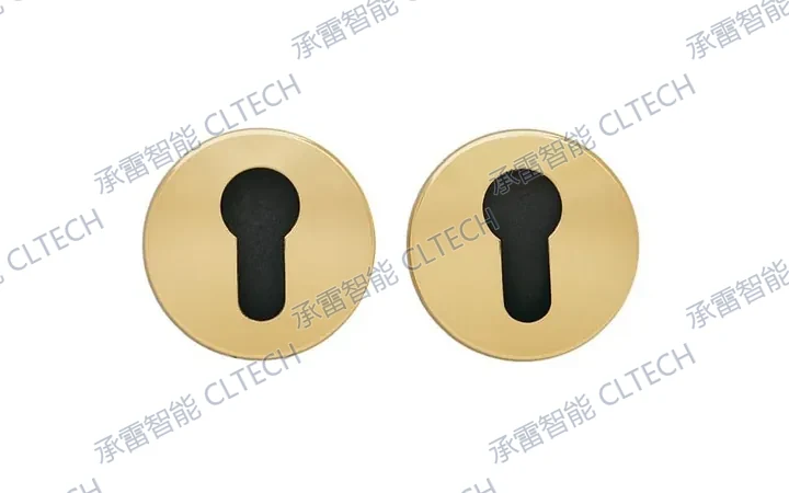 锁芯 eschutcheon LH002PZ